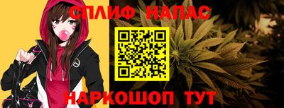 дмт Будённовск