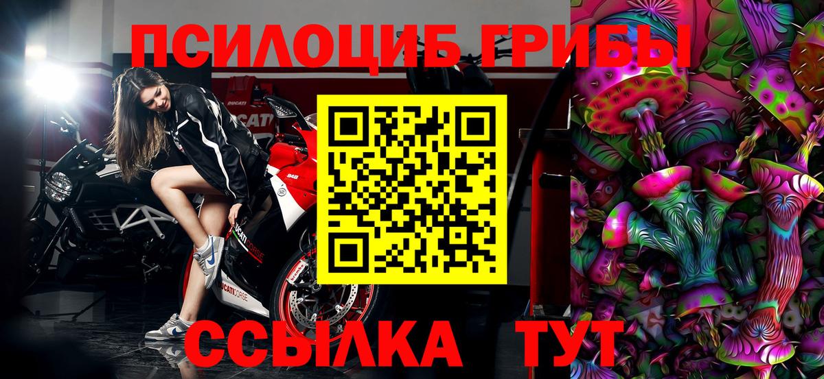 Галлюциногенные грибы Cubensis Мытищи