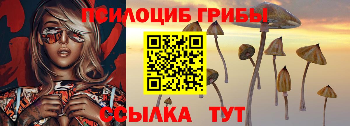 Галлюциногенные грибы мицелий  Вход с VPN  Галлюциногенные грибы MAGIC MUSHROOMS  купить наркотик  Мытищи 